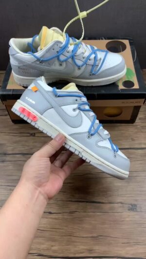 D5 X Authentic Label Company Level Dunk Low Low Top Casual Skate Shoes DM1602-113 Reps